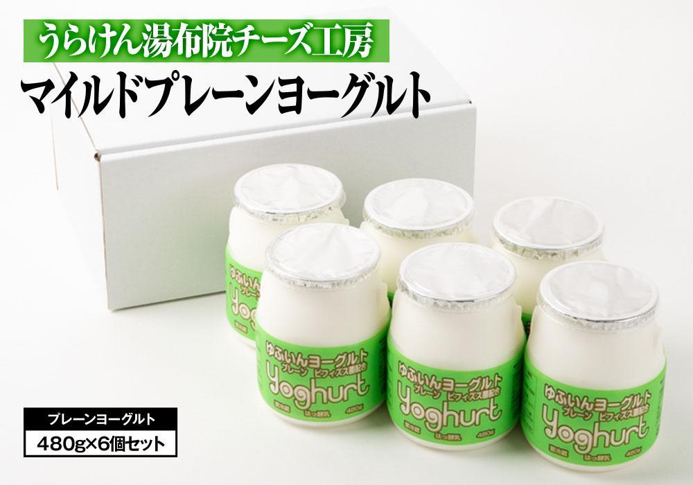 【定期便 全4回】健康志向のあなたへ♪ゆふからお届けする健康食品セット