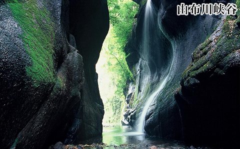 大分県由布市ANAトラベラーズダイナミックパッケージ割引クーポン15,000点分