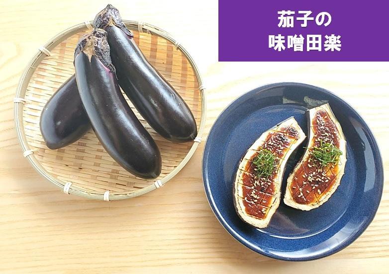 由布の恵み【新鮮 朝穫れ旬野菜！8種類以上！】おまかせお楽しみセット