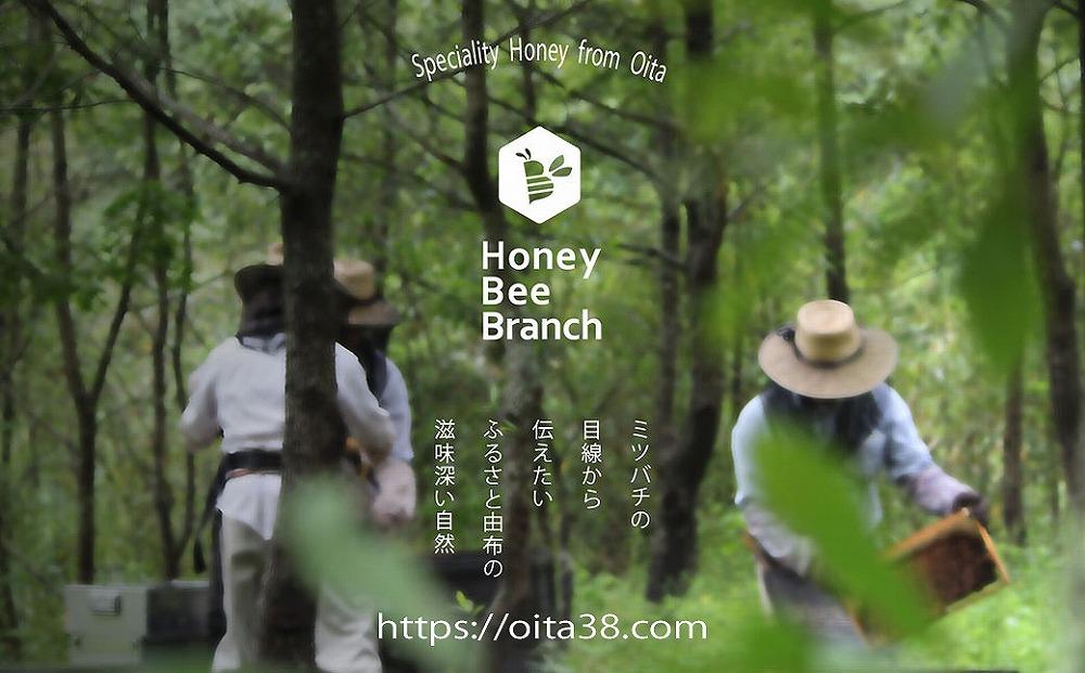 由布市産 「おおいた百花はちみつ」2kg（１kg入瓶×2本）