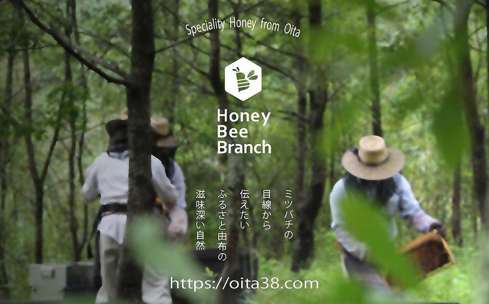 由布市産 「おおいた百花はちみつ」1kg（1kg入瓶）