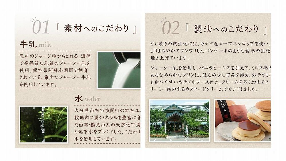 ＼年内発送／【お菓子の菊家】ゆふいん創作菓子 ぷりんどら 9個入