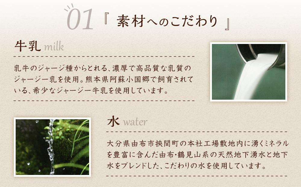 【定期便 全6回】【お菓子の菊家】ゆふいん創作菓子 ぷりんどら 12個入