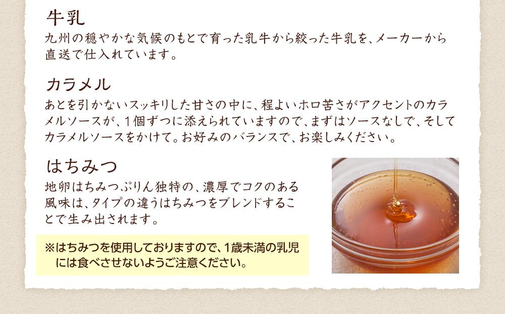＼年内発送／ 【お菓子の菊家】地卵はちみつぷりん 9個入