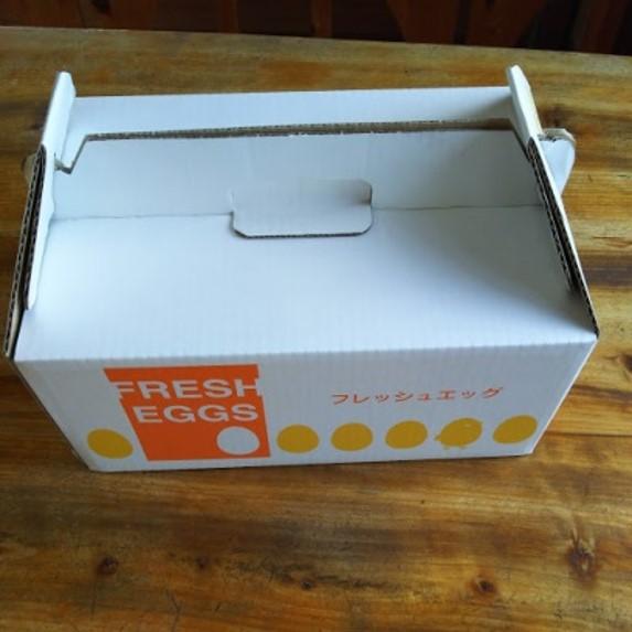 大分うこっけい卵（生食用３０個）