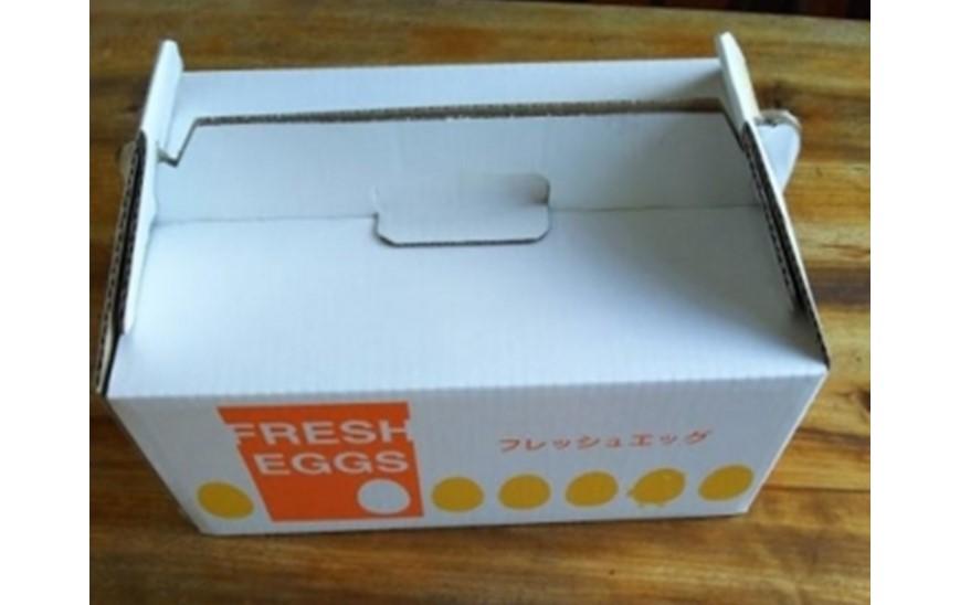 【定期便 全3回】大分うこっけい卵（生食用３０個）