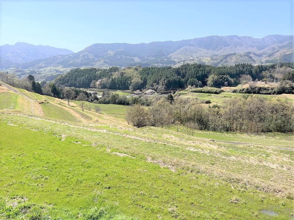 【手作り雑貨屋 木心工房】木のりんごのオブジェ（白）