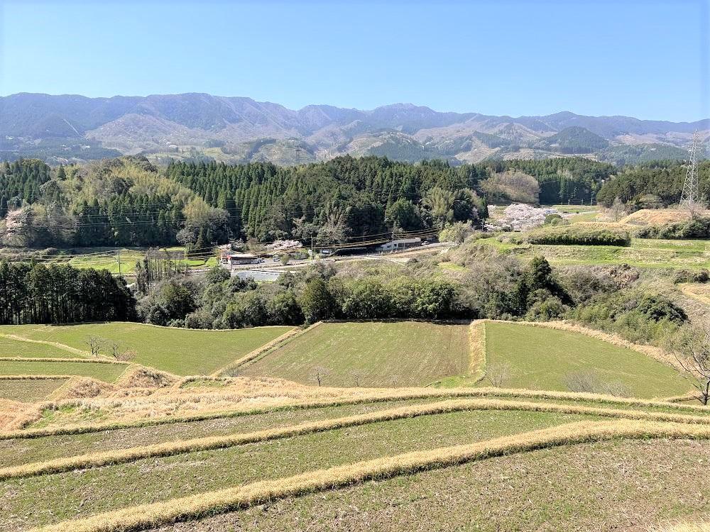 【手作り雑貨屋 木心工房】木のりんごのオブジェ（赤）