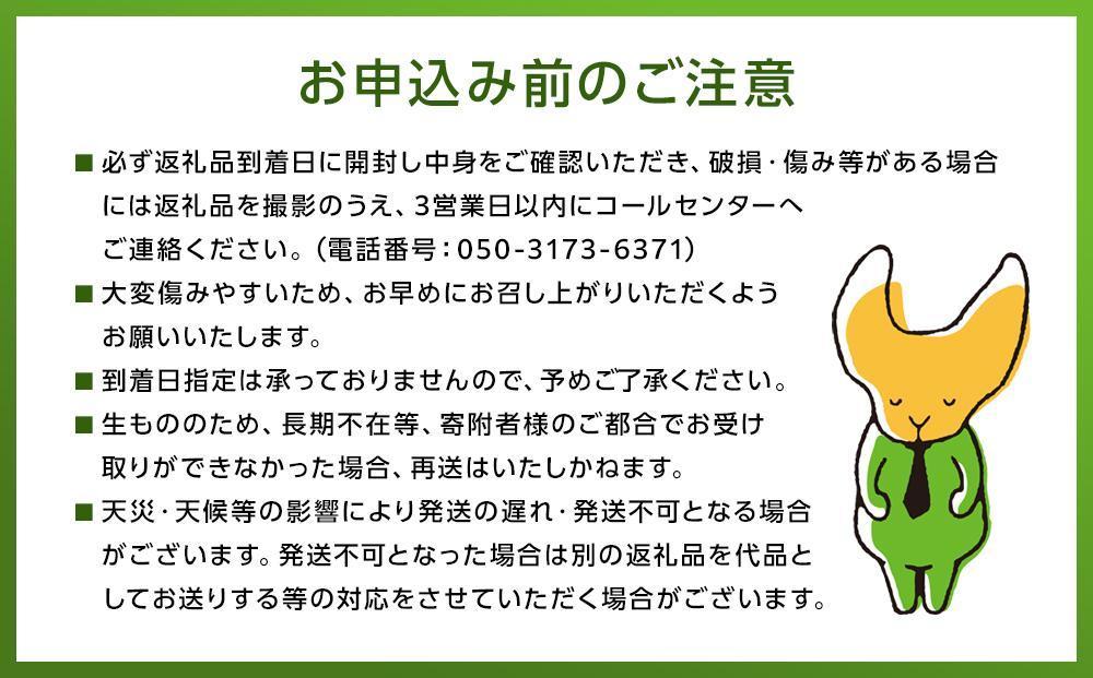 【2026年発送/先行予約】湯布院の温泉で育てたいちご おまかせ約1,840g（約230g×8パック）