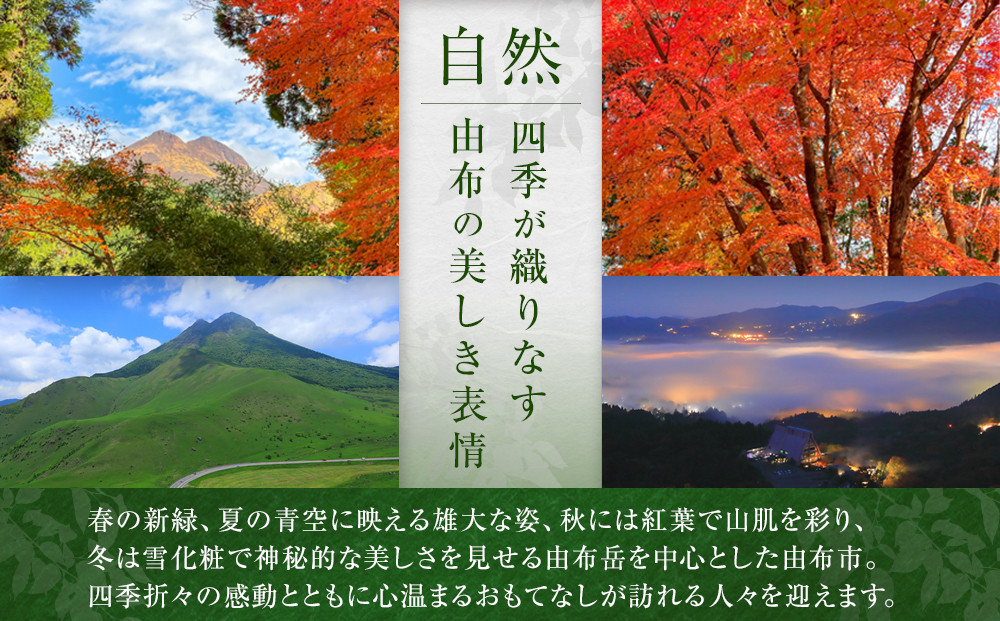 シャンパンと一緒に♪【大人の時間 YOI TSU TSU】羊羹 2本セット ＜赤司菓子舗＞