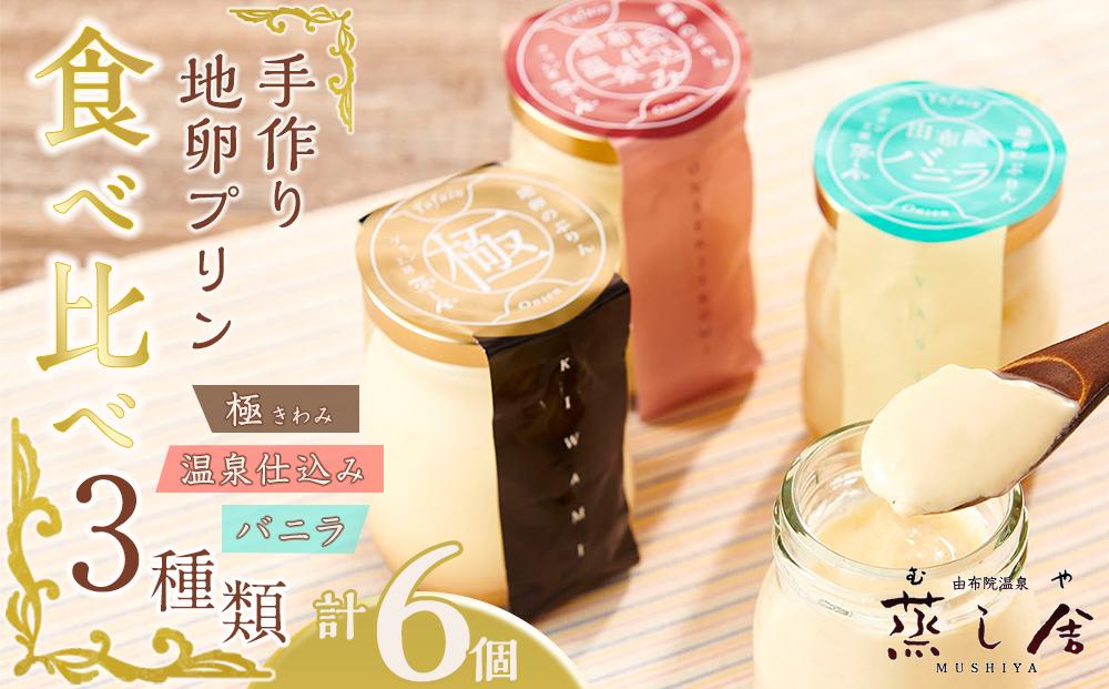 蒸し舎　地卵プリン食べ比べ3種類「極」「温泉仕込み」「バニラ」各2個ずつ(全6個)