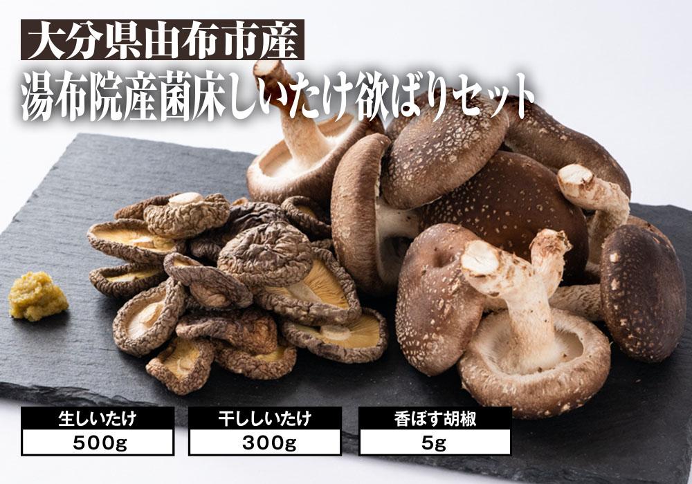 ＼年内発送／ 【欲ばりセット】湯布院産 （生しいたけ500g+干ししいたけ300g+香ぼす胡椒）｜栽培期間農薬不使用