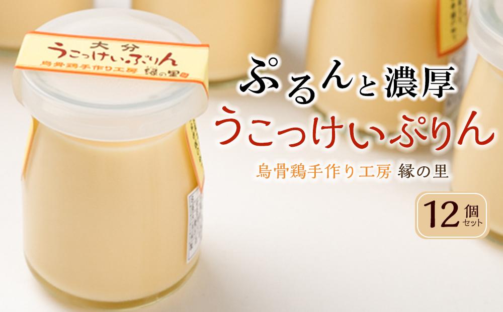 大分うこっけいプリン 12個 ｜甘さ控えめ 濃厚 爽やかさを感じる 絶品スイーツ