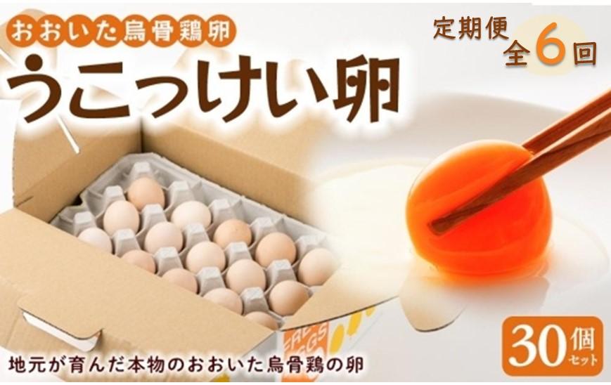 【定期便 全6回】大分うこっけい卵（生食用３０個）