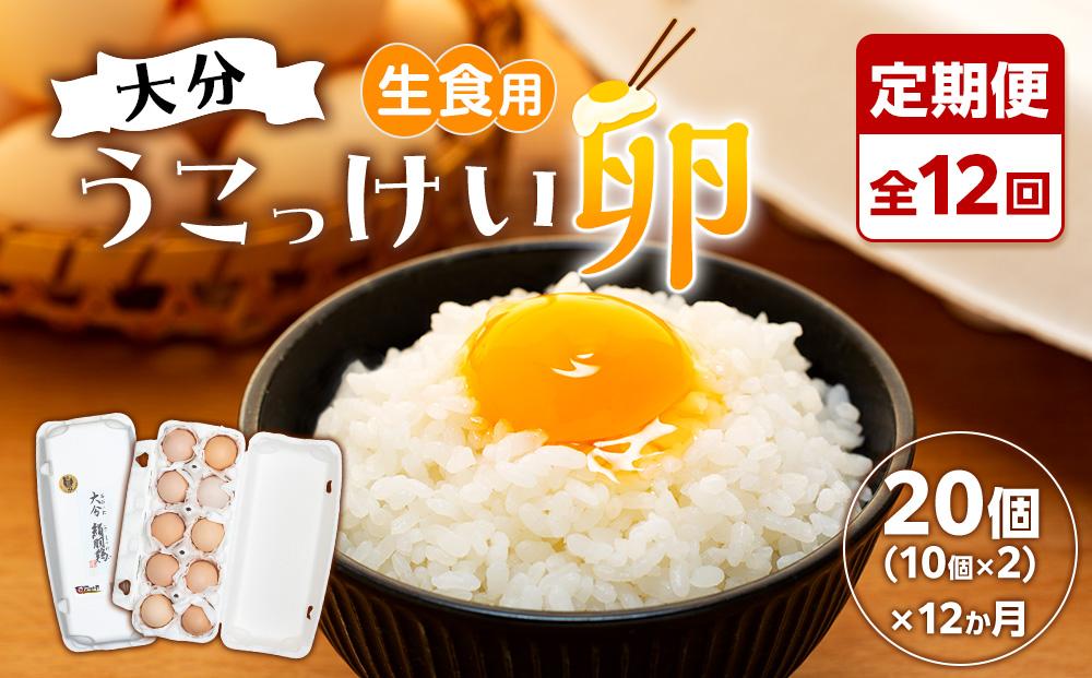 【定期便 全12回】大分うこっけい卵　生食用20個（10個×2）×12回