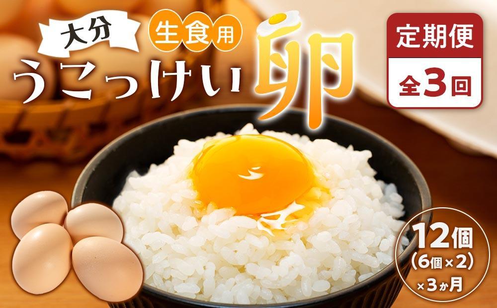 【定期便 全3回】大分うこっけい卵　生食用12個（6個×2パック）＜一人暮らしの方におすすめ♪＞