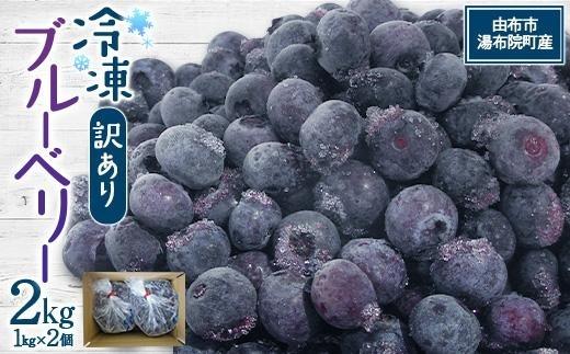 【由布市湯布院町産】 訳あり 冷凍ブルーベリー 2kg（1kg×2個）