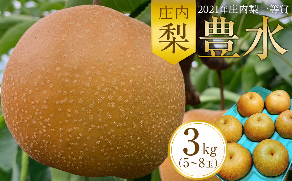 ＜2026年庄内梨一等賞＞庄内梨 豊水 3kg（5～8玉）【2025年9月上旬頃より発送】