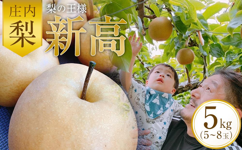＜梨の王様＞庄内梨 新高 5kg（5～8玉）【2025年10月上旬頃より発送】