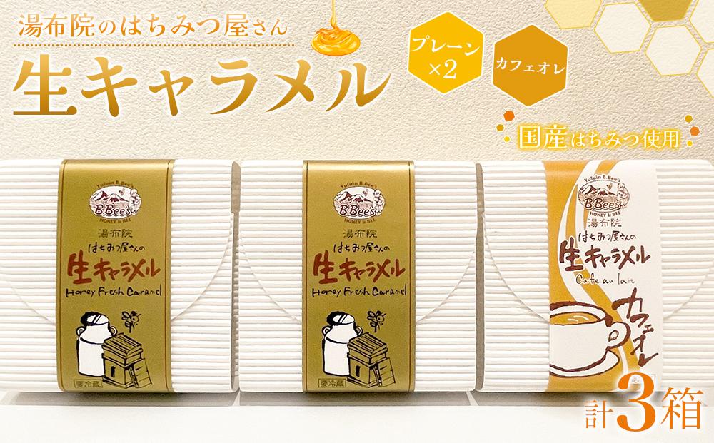 【湯布院のはちみつ屋さん】国産蜂蜜を使用した2種の生キャラメル（プレーン×2・カフェオレ）各12粒入り 計3箱