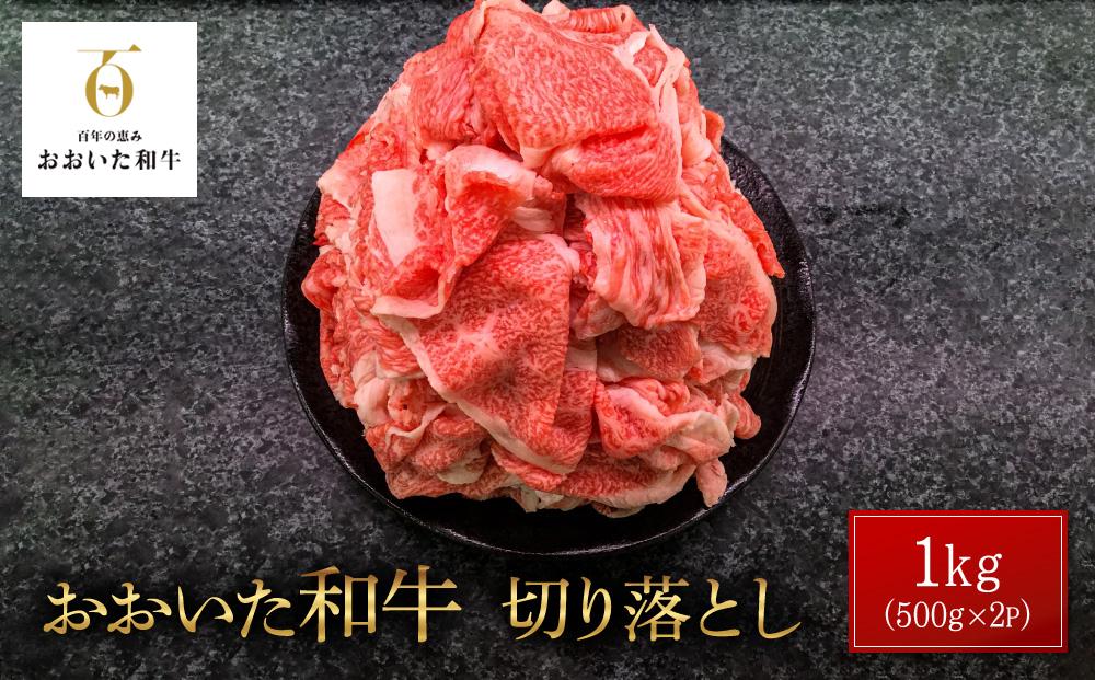 ＼年内発送／ おおいた和牛 切り落とし 1kg（500g×2P）