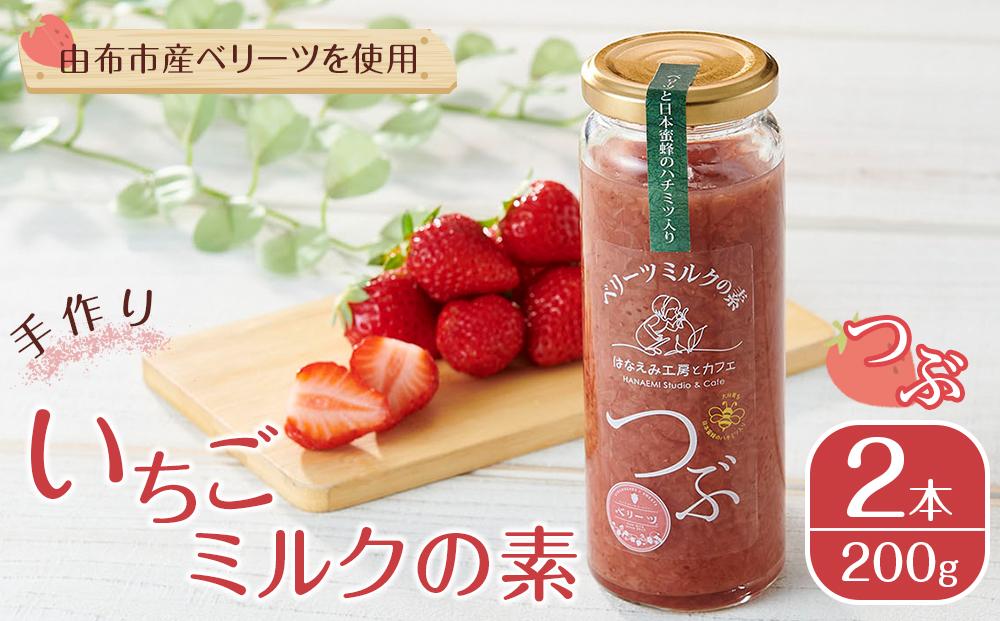 ＼年内発送／ ＜由布市産ベリーツを使用＞手作り いちごミルクの素「つぶ」 200g×2本【はなえみ工房】