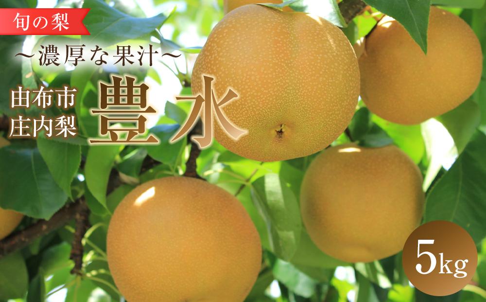 旬の梨 豊水 5kg 庄内梨 大塚梨園＜2026年8月下旬以降発送＞