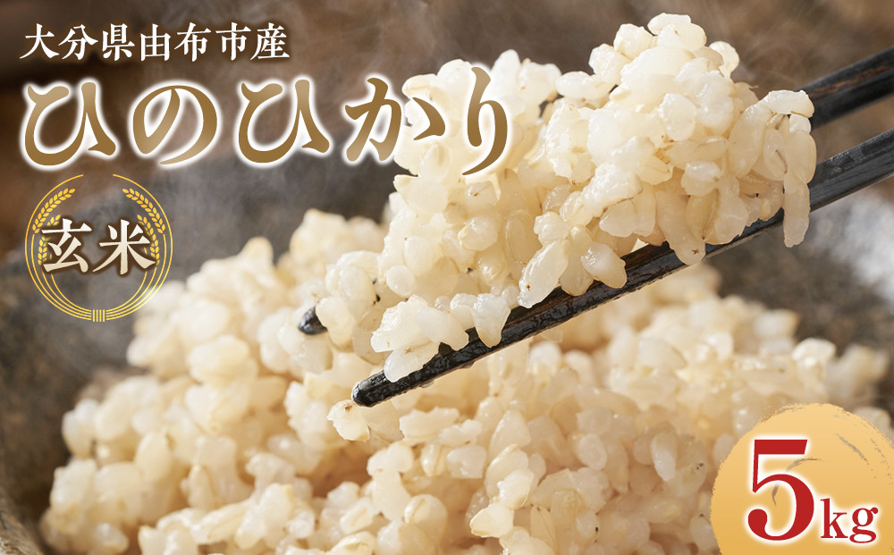 ＼先行予約／【令和7年度産】大分県由布市産 ひのひかり（玄米）5kg