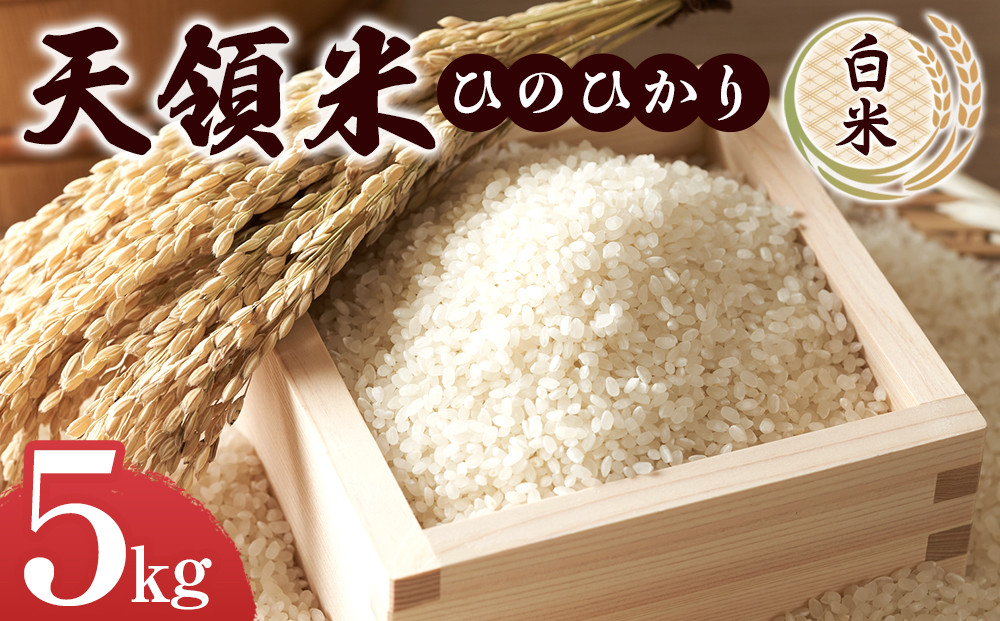 天領米（ひのひかり：白米） 5kg