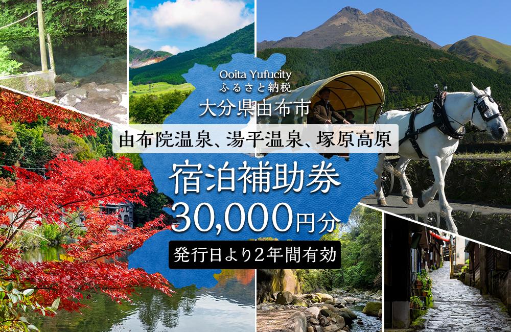 ☆川崎・京都グループ「クリスタル京都南町店」利用券￥12,000分(無期限有効) - 遊園地/テーマパーク