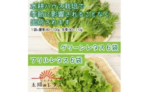 くにさき太陽のレタス10月から半年間定期便/計6回発送_1598R