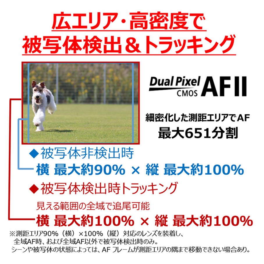 【追加レンズセット】キヤノン ミラーレス カメラ EOS R50 ブラック ダブルズームキット & 単焦点レンズ Canon キャノン 一眼 家電_0054C