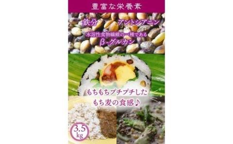 くにさき紫もち麦3.5kg _1051R