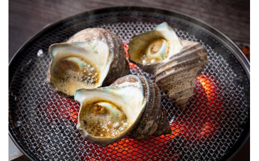 漁師直送!天然活さざえ1.3kg_1067R