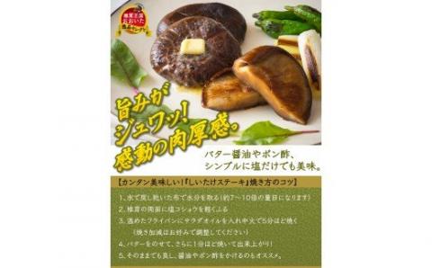 まさに森のアワビ！ステーキ用肉厚乾し椎茸/香菇240g_1085Z