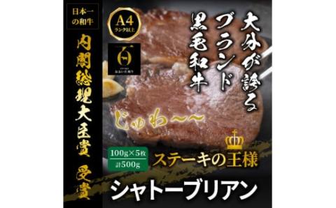 【A4～A5等級】おおいた和牛シャトーブリアンステーキ100g×5枚_1472R
