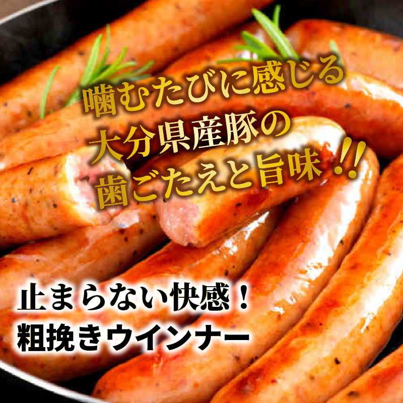 【ご好評につき2～3ヶ月待ち】止まらない快感!粗挽きウインナー1kg_1499R-2