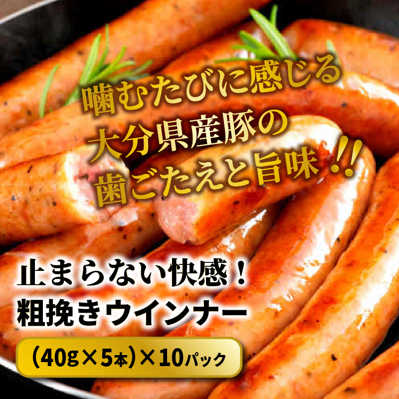 【ご好評につき2～3ヶ月待ち】【選べる容量】止まらない快感!粗挽きウインナー_1499R