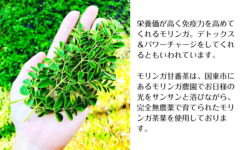 モリンガ甘番茶　1袋（10包入り）_1745R