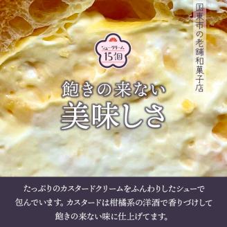 50年変わらない味！地元で人気のシュークリーム15個_1756R