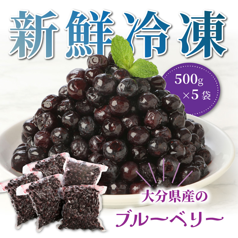 【ご家庭用】冷凍ブルーベリー2.5kg（大分県産）_1894R