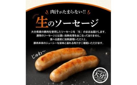 【要加熱】ジューシーな肉汁が堪らない！大分県産豚を使用した生ソーセージ（粗挽き・バジル計30本）_2097R