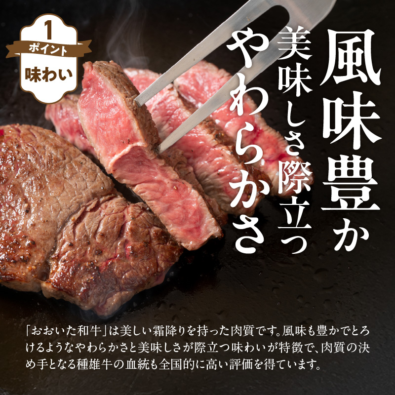 【黒毛和牛】 おおいた和牛 半生 ビーフジャーキー 400g (40g×10P) レア つまみ 酒の肴_2392R-2