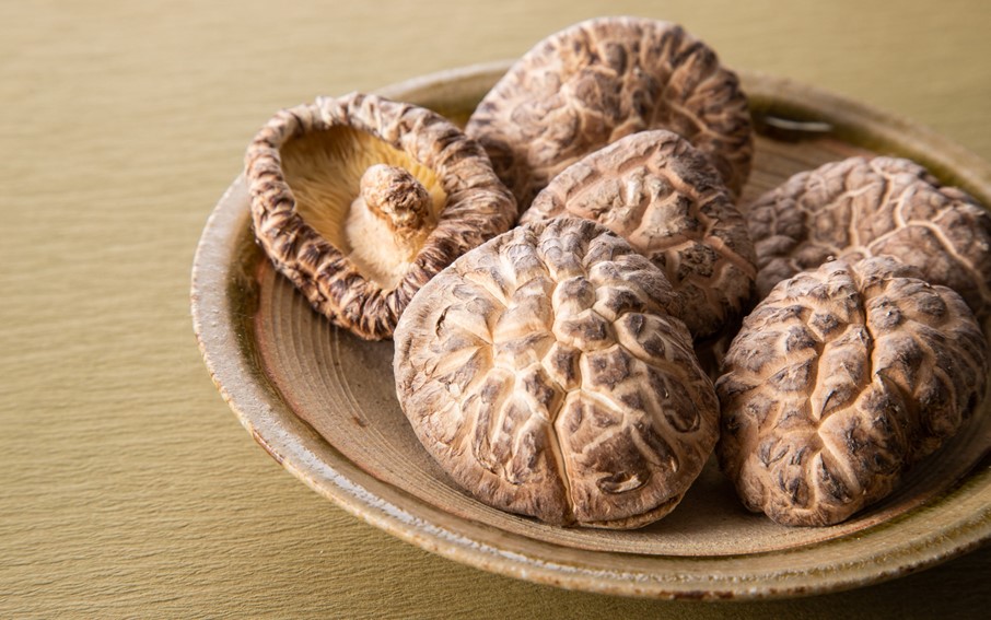 【訳あり】国東産不揃いしいたけ約500g（どんこ）_2634R-2