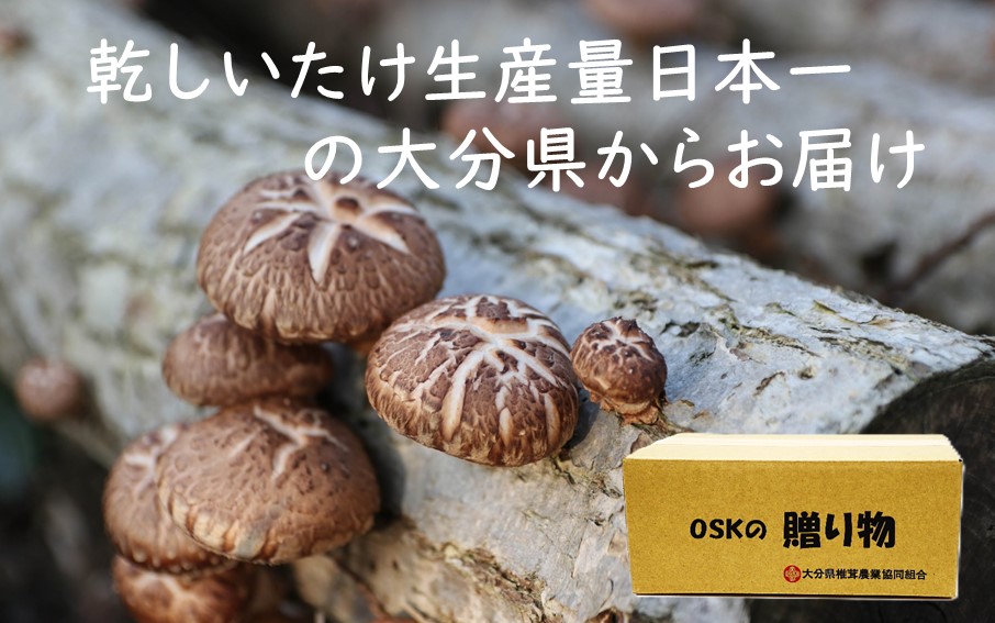 どれも美味しい！大分きのこの加工品セット 大分県 椎茸 乾しいたけ ストック 加工品_2652R