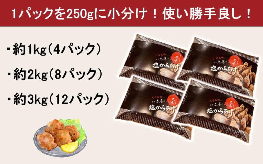 からあげグランプリ金賞受賞！選べる容量 塩からあげ2kg_2660R-2