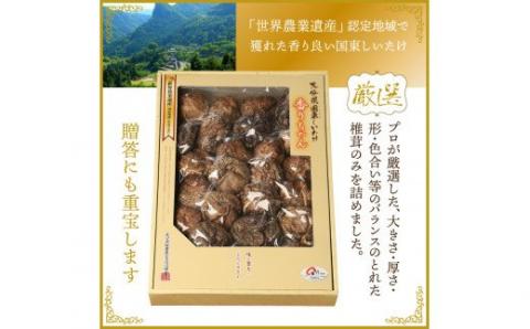 国東しいたけ「香ちゃん（極上品300g）」※桐箱入り・通_29030B