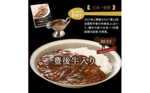 ワンランク上の味わいをご家庭で！豊後牛ホテルカレー・通_29174A