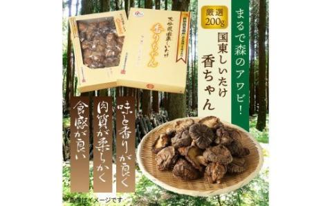 まるで森のアワビ！国東しいたけ香ちゃん（厳選200g）・通_29253A