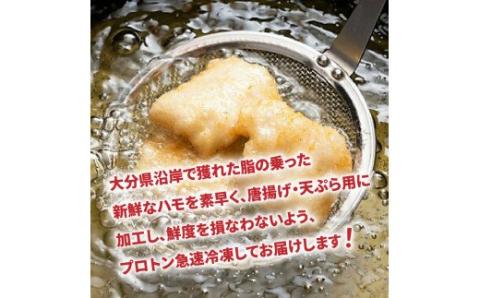 揚げたてが絶品！豊後ハモの唐揚げ＆天ぷら/0.5kg_0275N